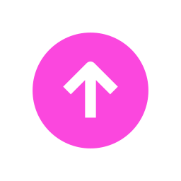 Icon seta para o topo